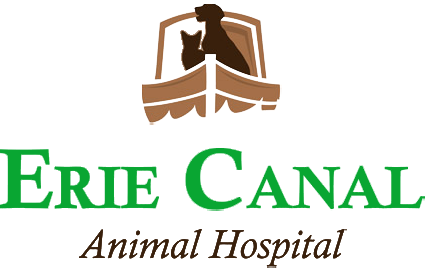 Erie Canal Animal Hospital